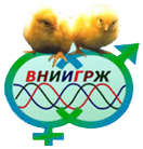 Всероссийский научно-исследовательский институт генетики и разведения сельскохозяйственных животных 